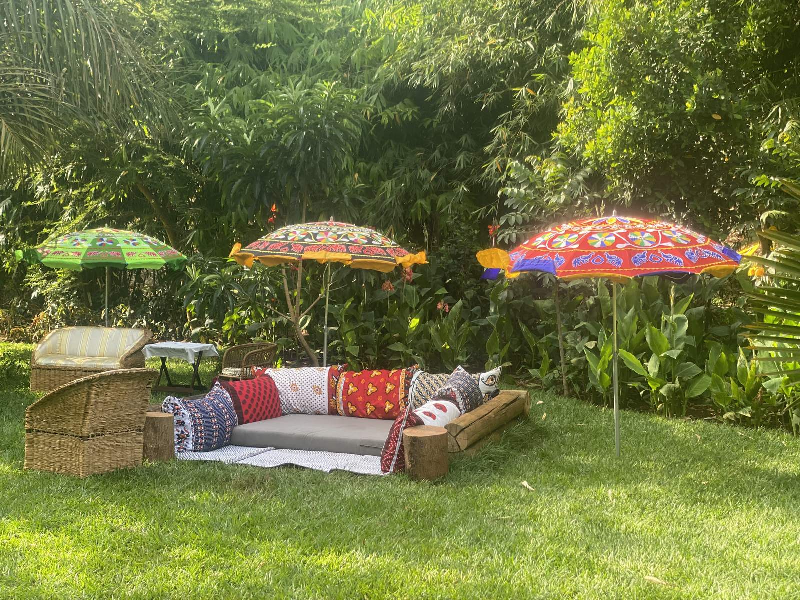 Maarifa Park - Mature Trees